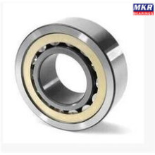 Cylindrical Roller Bearing NF309